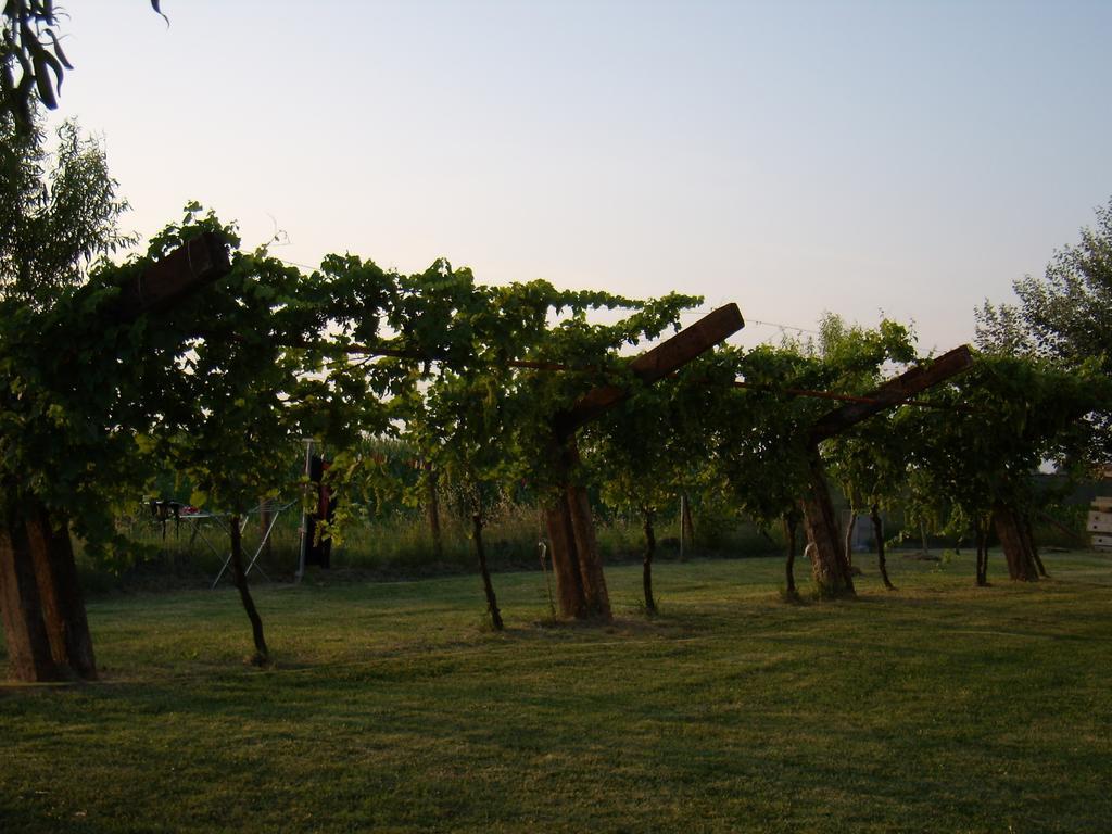 ルーゴ Antico Casale Dei Sogni Agriturismoゲストハウス エクステリア 写真