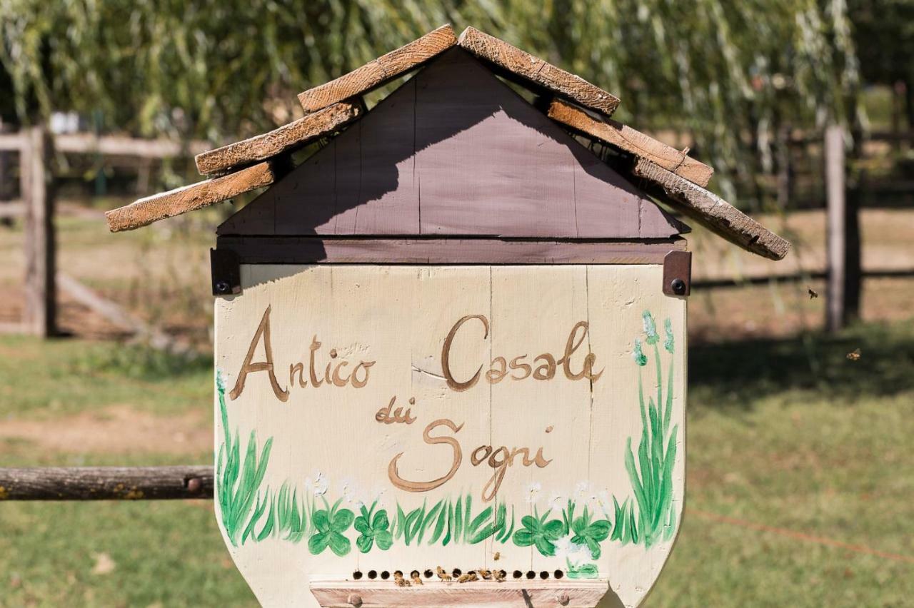 ルーゴ Antico Casale Dei Sogni Agriturismoゲストハウス エクステリア 写真